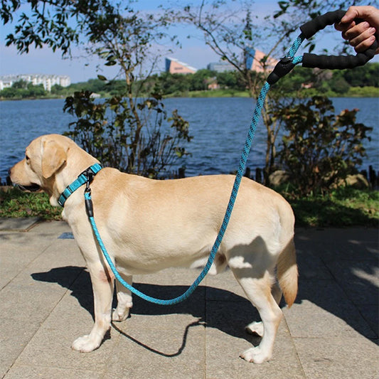 laisse pour chien Velvetcorde bleue