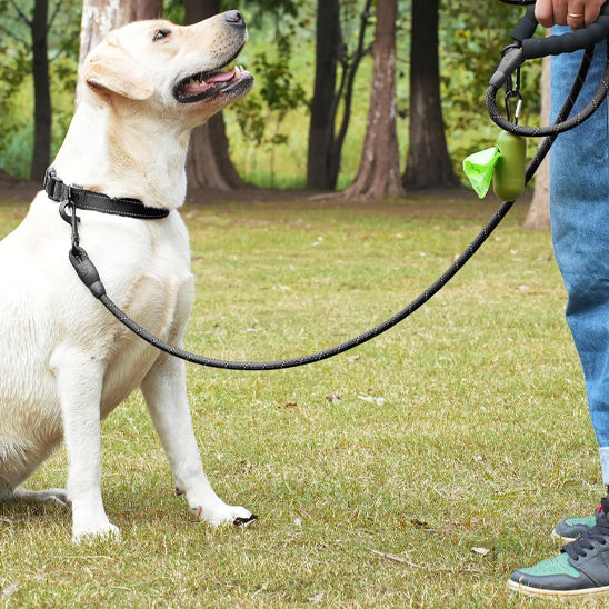 laisse pour chien Velvetcorde grise