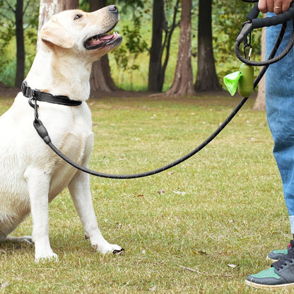 laisse pour chien Velvetcorde grise