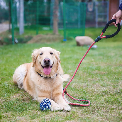laisse pour chien Velvetcorde rouge