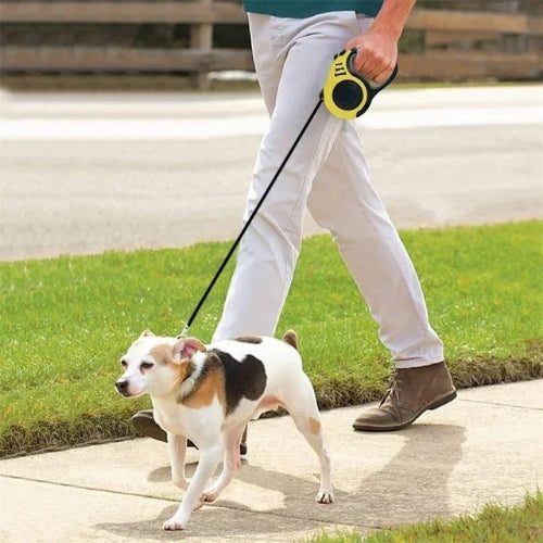 Laisse pour chien | Vespertrek™