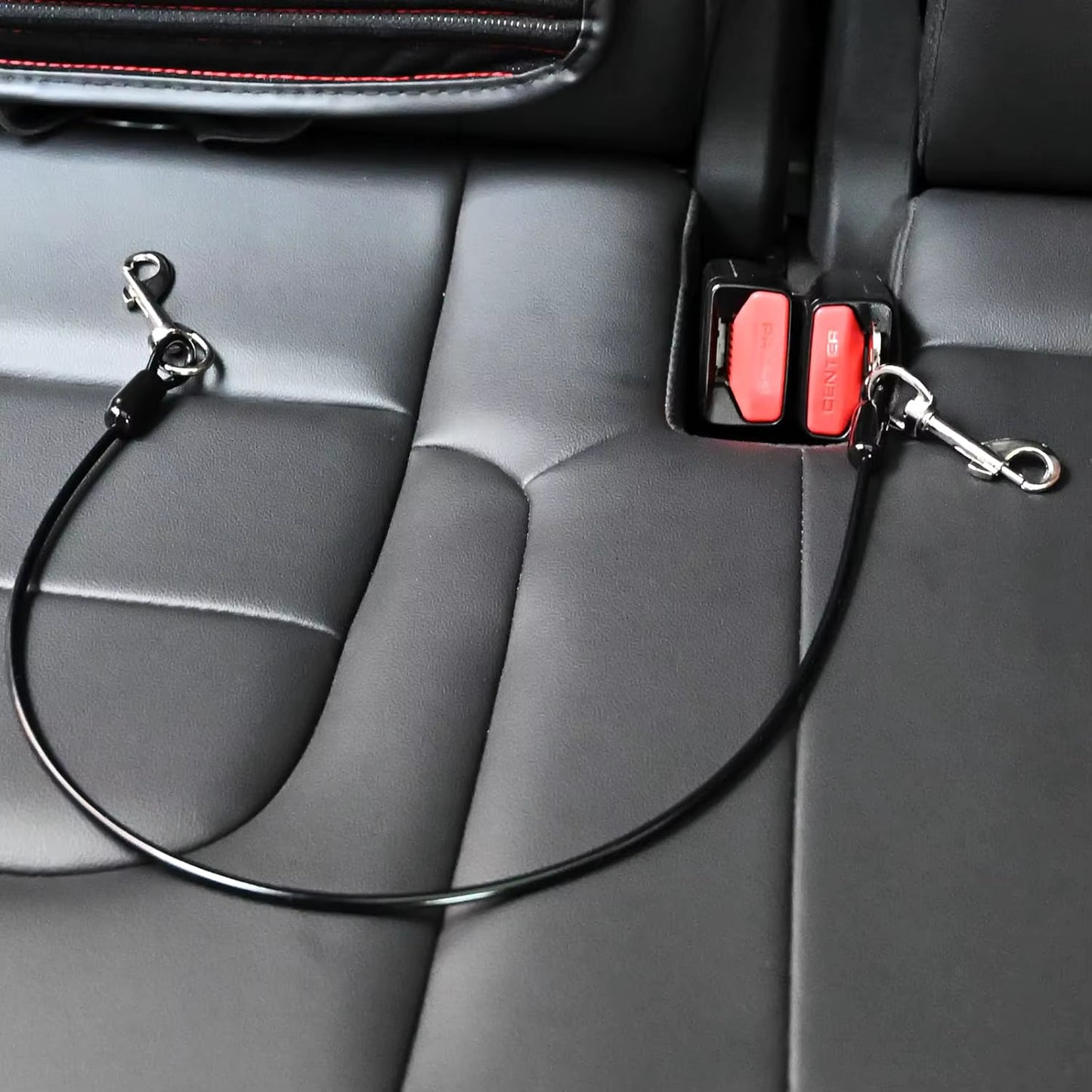 laisse pour chien et ceinture de sécurité
