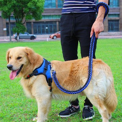 Laisse pour chien bleu et noir
