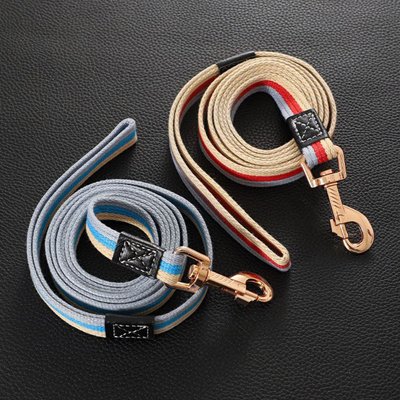 Laisse pour chien coloris