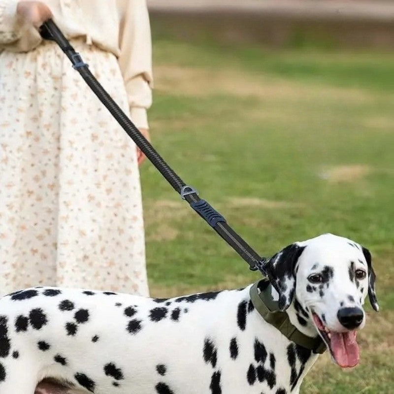 Laisse pour chien élégante