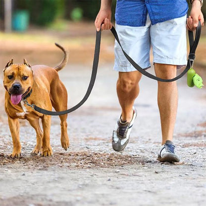 Laisse pour chien noire