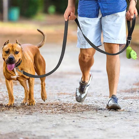 Laisse pour chien noire
