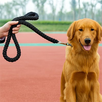Laisse pour chien noire