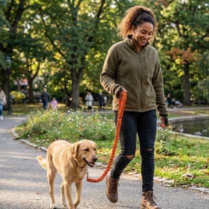 Laisse pour chien de sortie au parc