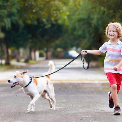 Laisse pour chien promenade