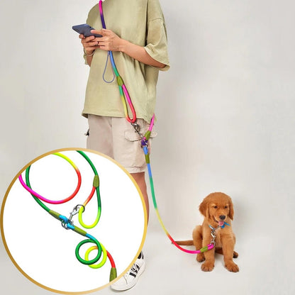 Laisse pour chien - Refletcorde™ - Je Promène Mon Chien
