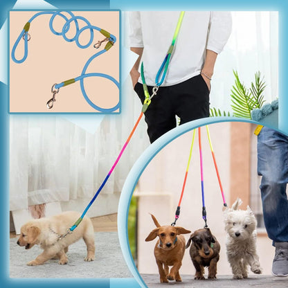 Laisse pour chien - Refletcorde™ - Je Promène Mon Chien