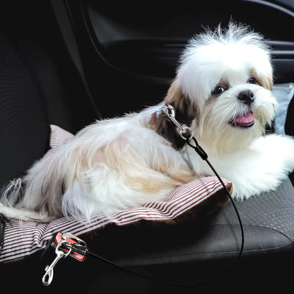 laisse pour chien bien installé à l'arrière