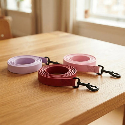 Laisse pour chien sur table
