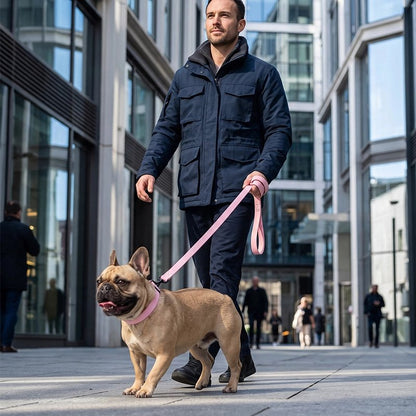 Laisse pour chien urbaine