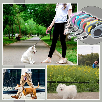Laisse pour chien | Vespertrek™ - Je Promène Mon Chien