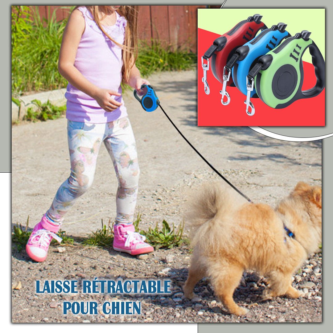 Laisse pour chien | Vespertrek™ - Je Promène Mon Chien