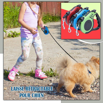 Laisse pour chien | Vespertrek™ - Je Promène Mon Chien