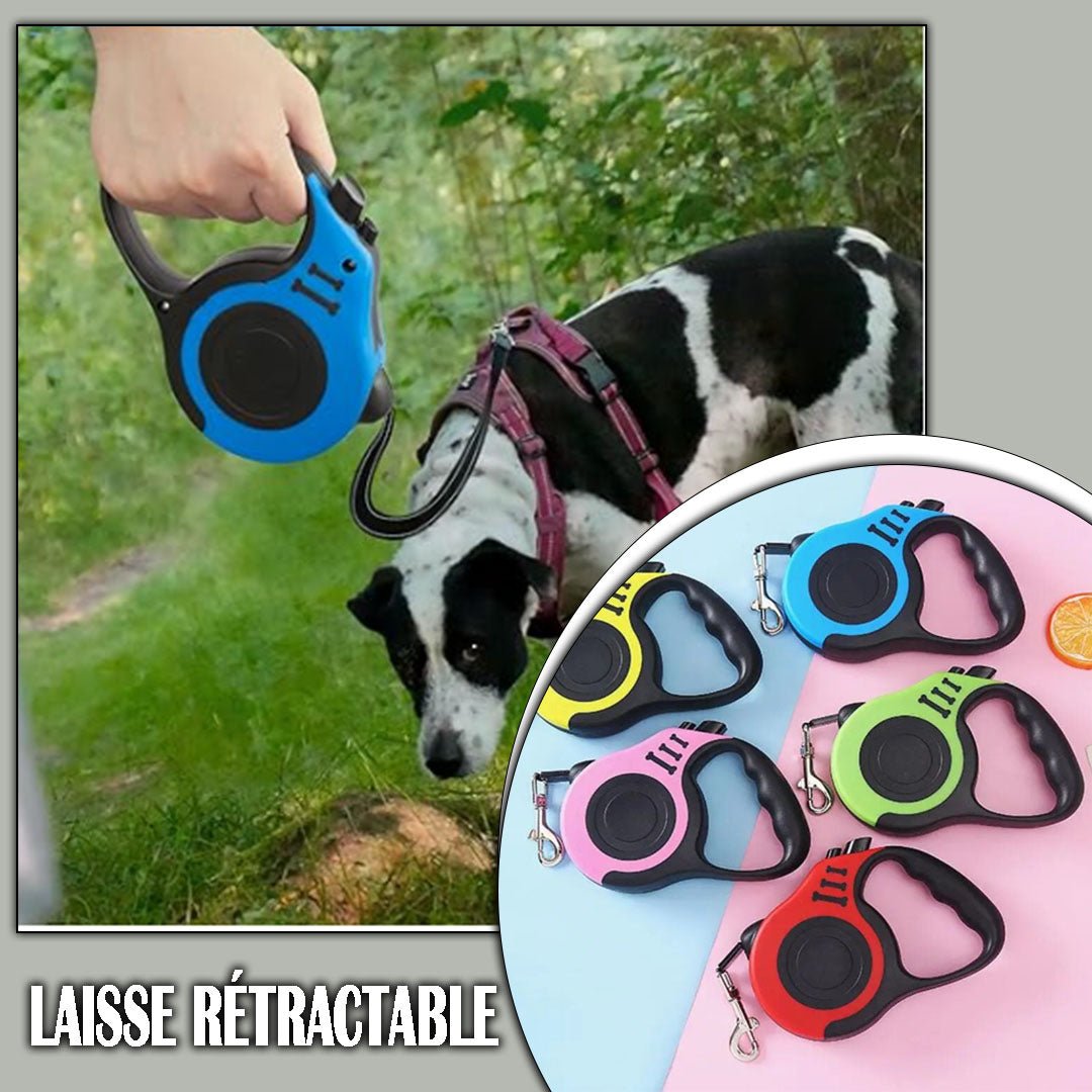 Laisse pour chien | Vespertrek™ - Je Promène Mon Chien
