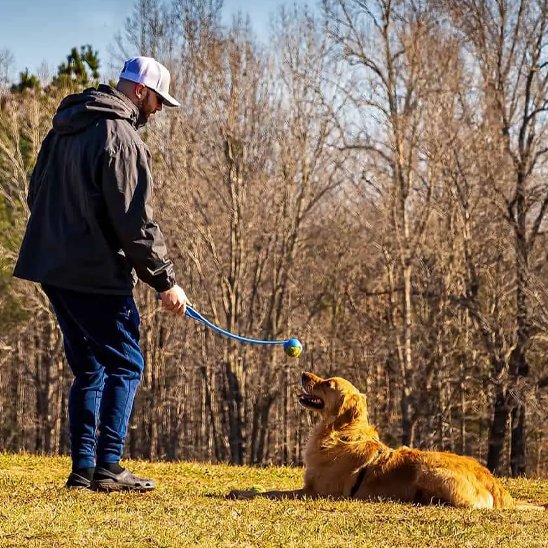 Lanceur de balle pour chien à la campagne