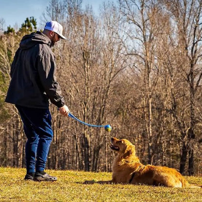 Lanceur de balle pour chien à la campagne