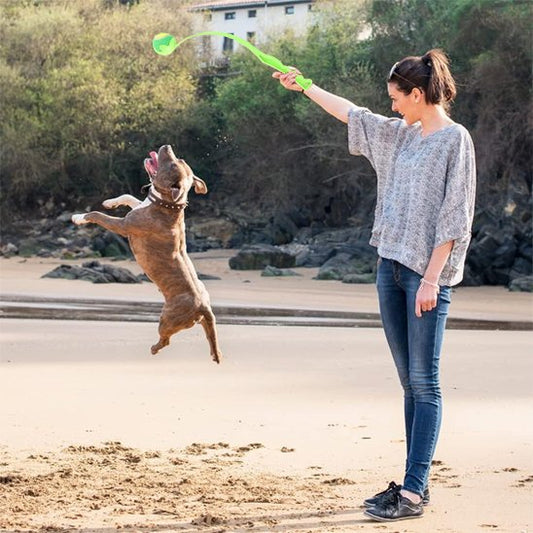 Lanceur de balle pour chien à la plage
