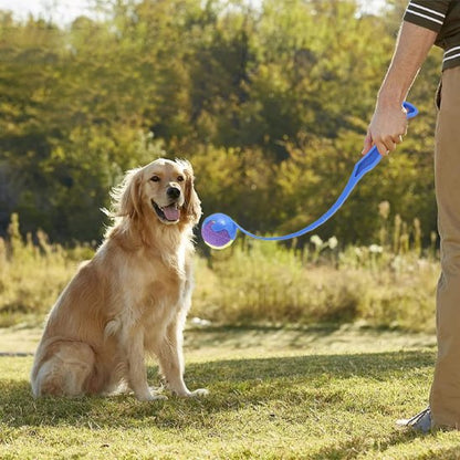 Lanceur de balle pour chien au parc