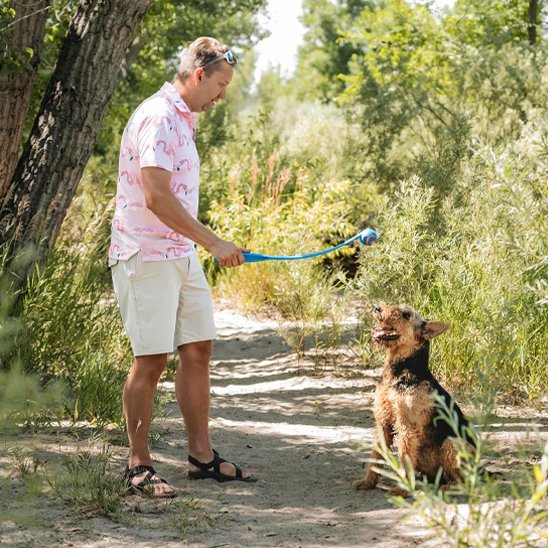 Lanceur de balle pour chien en balade