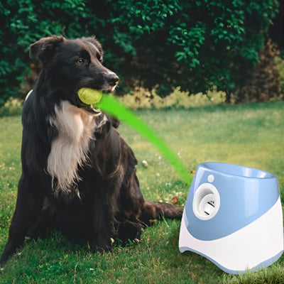 Lanceur de balle pour chien Piqueballe bleu grand chen extérieur
