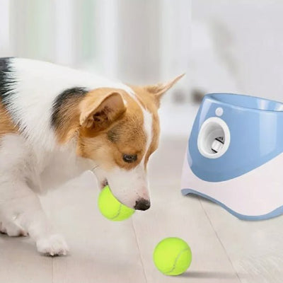 Lanceur de balle pour chien Piqueballe bleu en intérieur chien avec balle