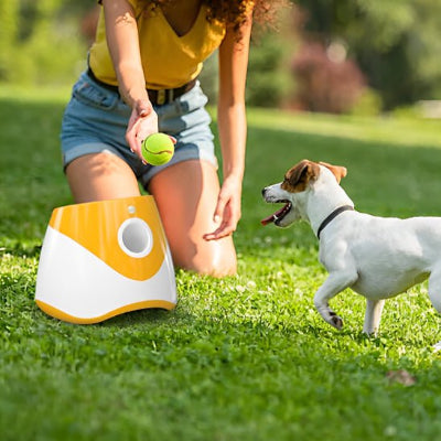 Lanceur de balle pour chien Piqueballe orange chien heureux à l'extérieur