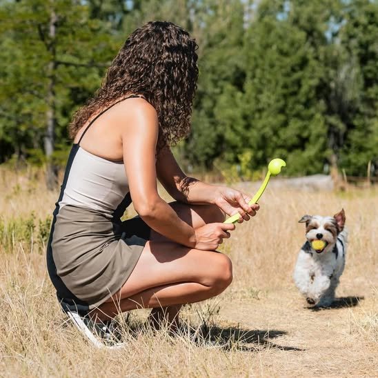 Lanceur de balle pour chien pour la promenade