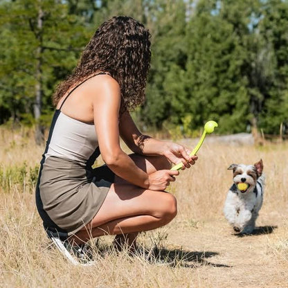 Lanceur de balle pour chien pour la promenade