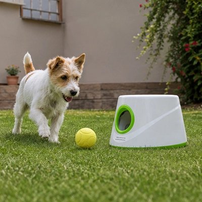 Lanceur de balle pour chien vert
