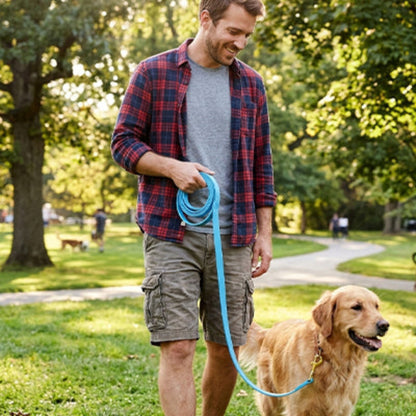 Longe chien bleue au parc