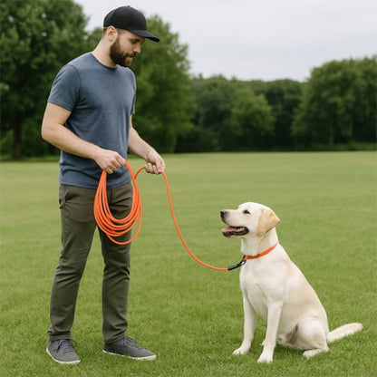 Longe chien pour le dressage