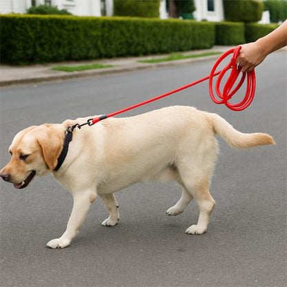 Longe chien rouge