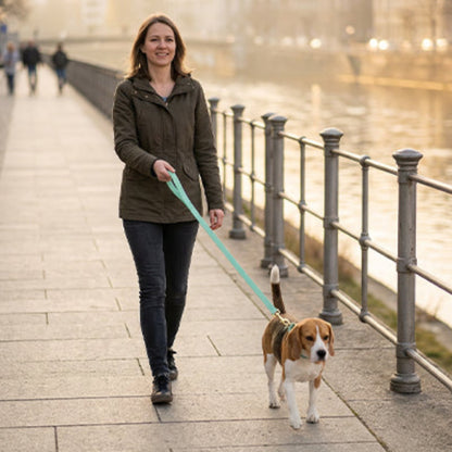 Longe chien promenade le long du fleuve