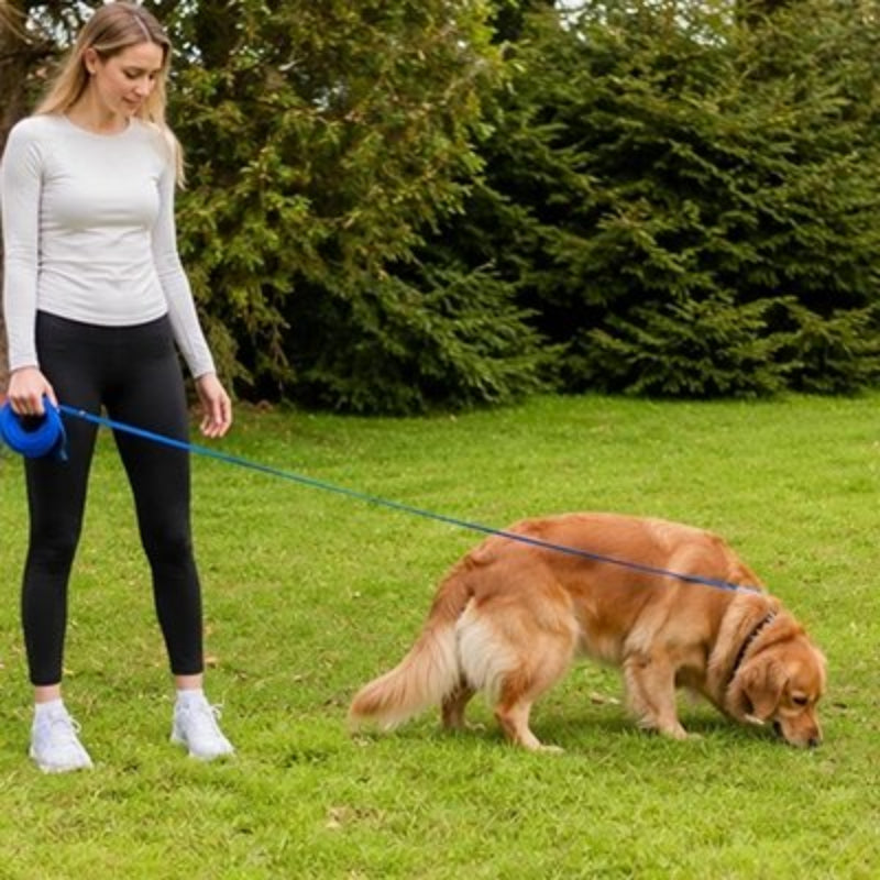 Longe pour chien 15m bleue au parc