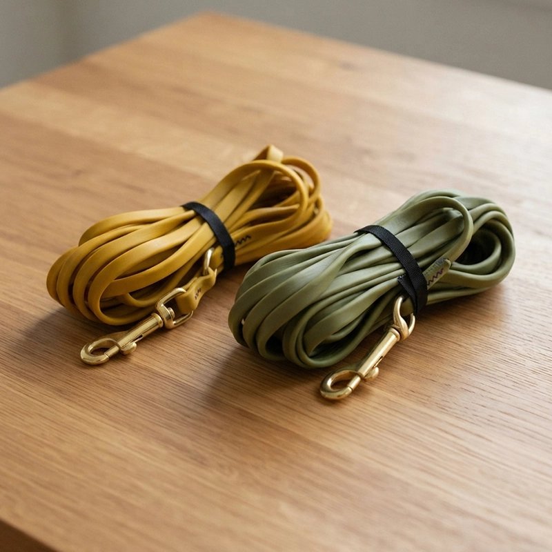 Longe pour chien 2 couleurs