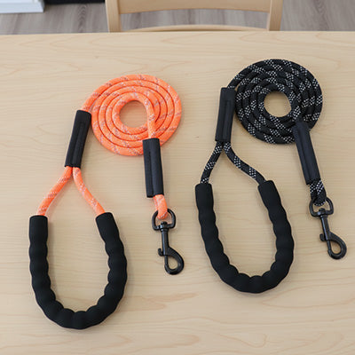 Longe pour chien | Confortable et Robuste