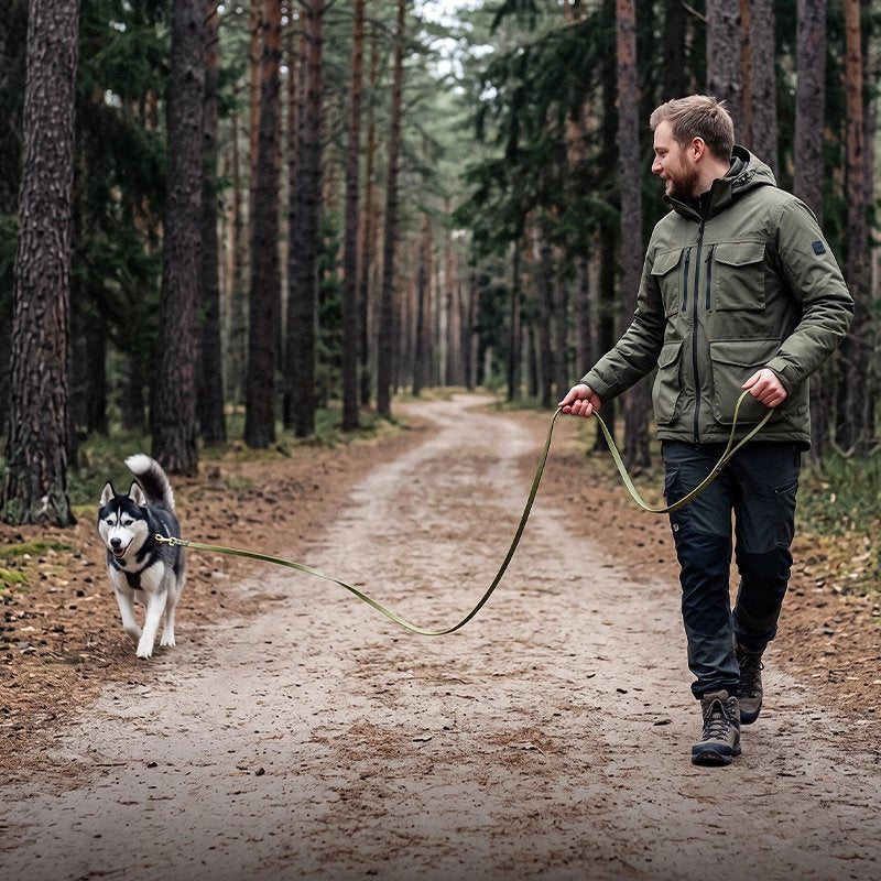 Longe pour chien chemin en forêt