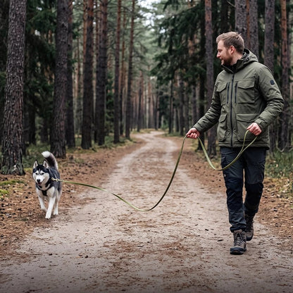 Longe pour chien chemin en forêt