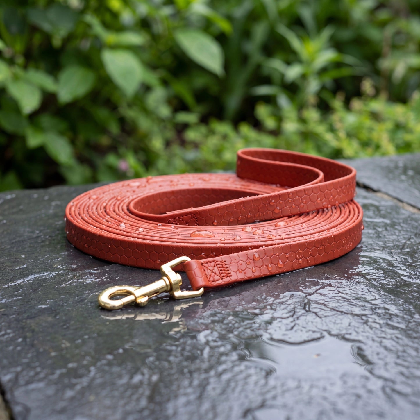 Longe pour chien | Légère et imperméable