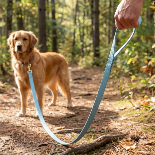 La longe pour chien pour la sortie en forêt