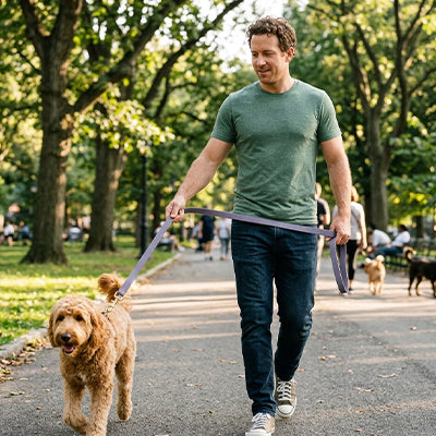 Longe pour chien | Légère et imperméable