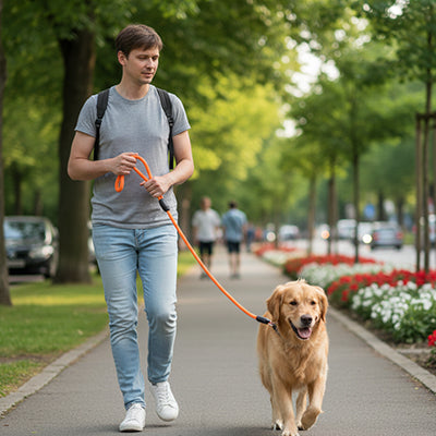 Longe pour chien orange sur le trottoir