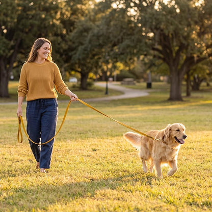 Longe pour chien promenade au parc
