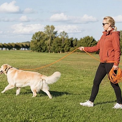Longe pour chien randonnée