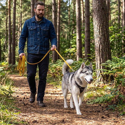 Longe pour chien sentier en forêt